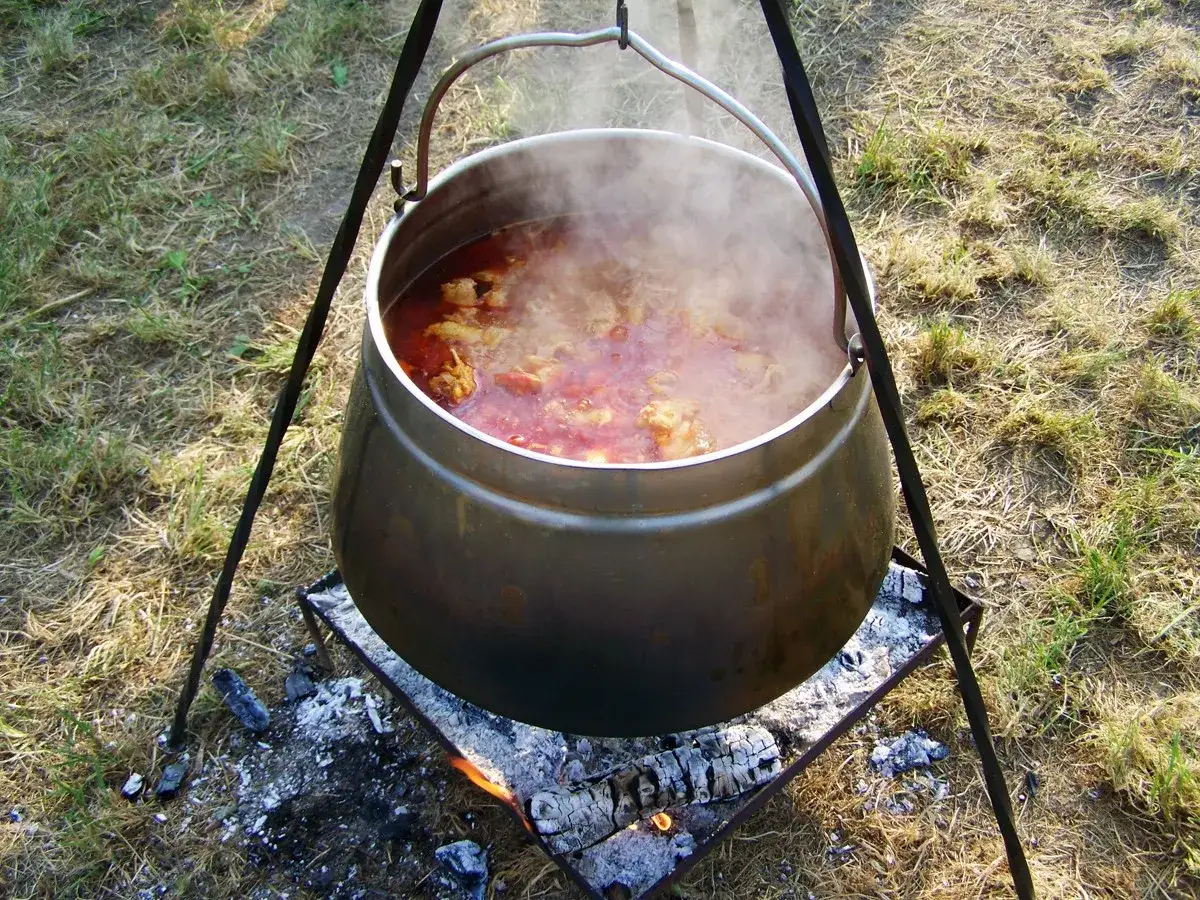 Pyszne dania z kociołka żeliwnego przepisy na ognisku. Gorący gulasz paruje, kusząc smakiem.